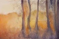 Mudeeha Ali, 14 x 21 Inch, Water Color On Paper, AC-MALI-006